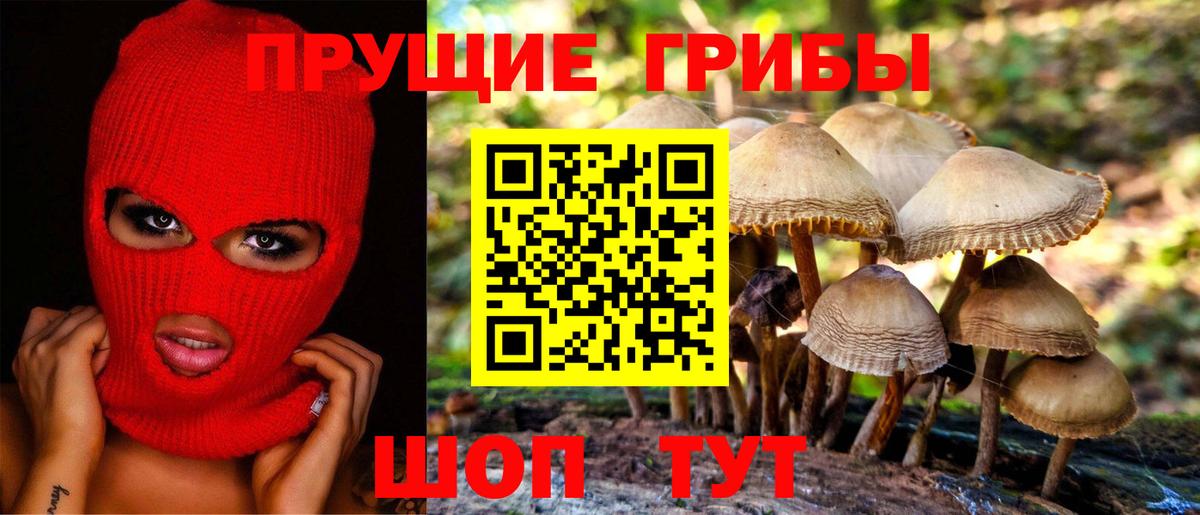 Алушта  дарнет шоп  Вход с VPN  Галлюциногенные грибы GOLDEN TEACHER 