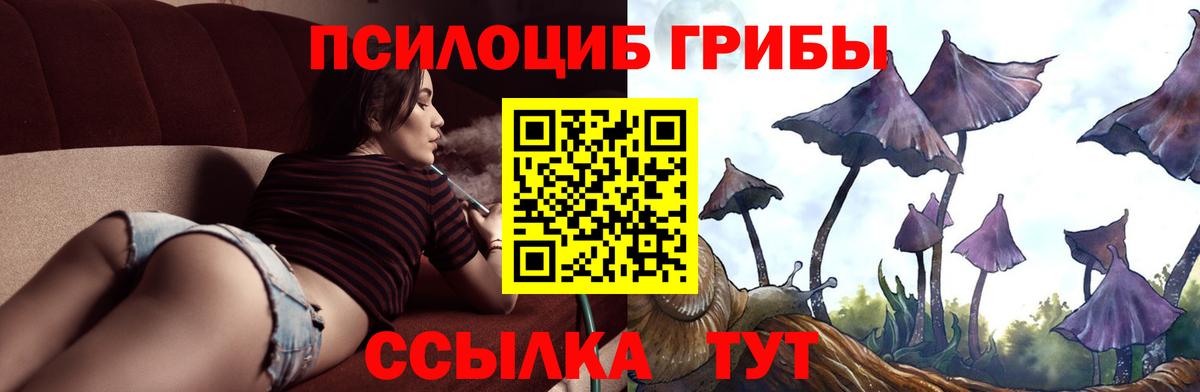 Псилоцибиновые грибы ЛСД Алушта