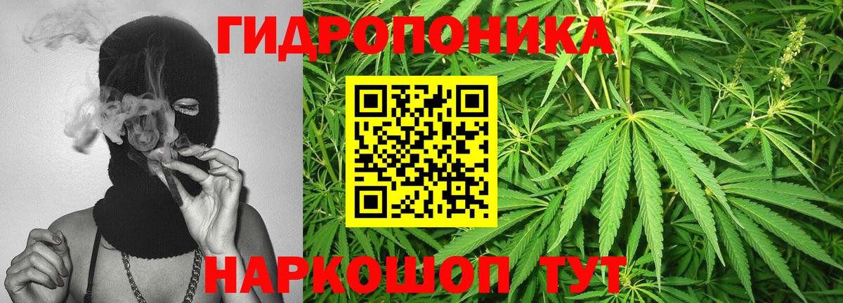 Каннабис ГИДРОПОН Алушта